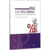 江苏专利实力指数报告.2017