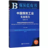 中国煤炭工业发展报告.2017