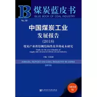 中国煤炭工业发展报告(2018) 煤炭产业供给侧结构性改革降成本研究 2018版