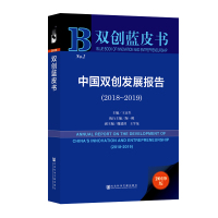 (2018-2019)中国双创发展报告
