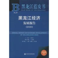 黑龙江经济发展报告(2020) 2020版