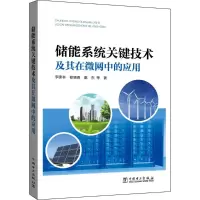 储能系统关键技术及其在微网中的应用