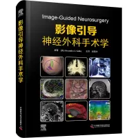 影像引导神经外科手术学