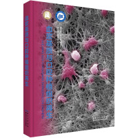 血浆基质与口腔种植组织再生