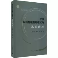 中国县域村镇发展模式与规划治理