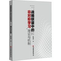 战略联盟中的非对称学习:理论与机制