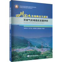 四川盆地东南缘龙马溪组页岩气区域选区定量评价
