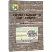 页岩气储层液态火药高能气体压裂增产关键技术研究