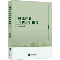 风能产业专利分析报告