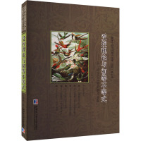 受控理论与初等不等式——从一道IMO试题的解法谈起