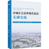 市域社会治理现代化的芜湖实践
