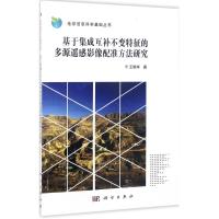 基于集成互补不变特征的多源遥感影像配准方法研究