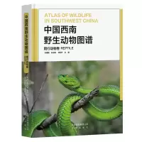 [醉染正版]中国西南野生动物图谱 爬行动物卷云贵川藏广西自然生态野生特有珍稀爬行类动物生活习性特征科普读物生物学学术研究