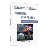 [N]城市隧道养护与维修/城市市政设施养护与维修系列丛书-9787516036686
