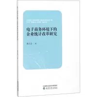 电子商务环境下的企业统计改革研究
