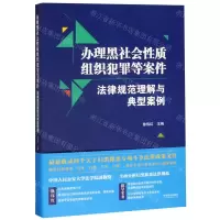 [N]办理黑社会性质组织犯罪等案件法律规范理解与典型案例-9787521605600