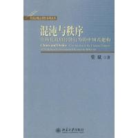 [M]混沌与秩序-市场化政府经济行为的中国式建构-9787301171370