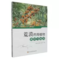 [N]荒漠药用植物栽培与应用-9787571921040