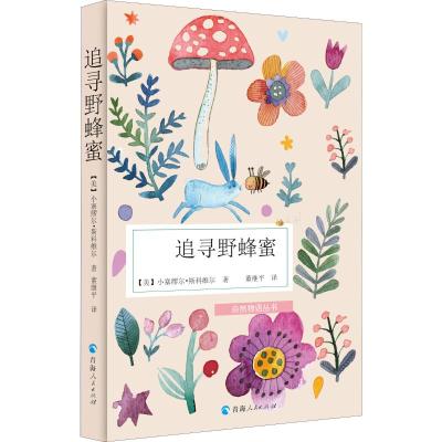 追寻野蜂蜜
