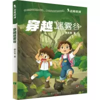 穿越迷雾谷