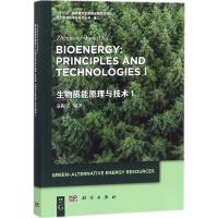 生物质能原理与技术