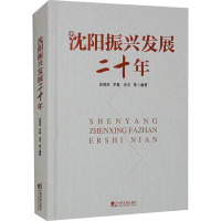 沈阳振兴发展二十年