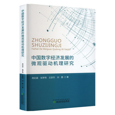 中国数字经济发展的微观驱动机理研究
