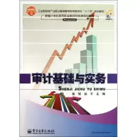 [M]审计基础与实务-9787121157707