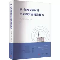 镁/铝双金属材料消失模复合铸造技术