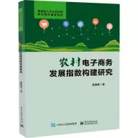 农村电子商务发展指数构建研究