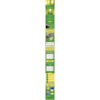 青蛙城堡/[挪威]乔斯坦·贾德