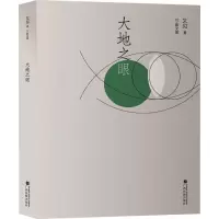 大地之眼