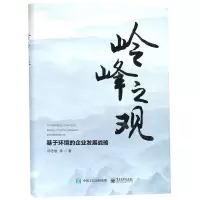 [N]岭峰之观(基于环境的企业发展战略)(精)-9787121360725