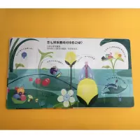 [正版]接力出版社你问我答科普翻翻书怎么样系列 套装全5册3-6岁宝宝幼儿园孩子3D立体情绪科普百科知识启蒙认知早教情