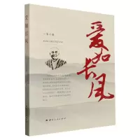 [N]爱如长风-9787222208407
