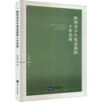 陕西青少年权益保障十年观察