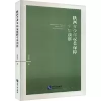 陕西青少年权益保障十年观察