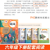 爱丽丝漫游奇境