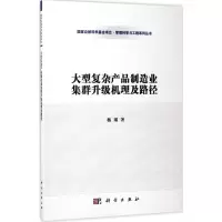 大型复杂产品制造业集群升级机理及路径