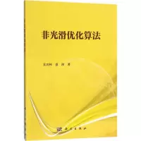非光滑优化算法