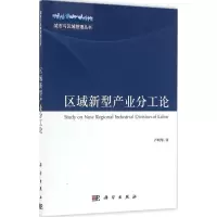 区域新型产业分工论
