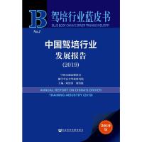 中国驾培行业发展报告(2019)/驾培行业蓝皮书