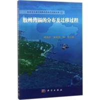 胶州湾镉的分布及迁移过程