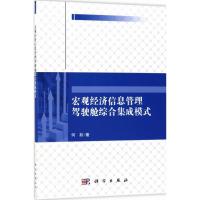 宏观经济信息管理驾驶舱综合集成模式