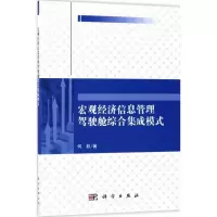 宏观经济信息管理驾驶舱综合集成模式