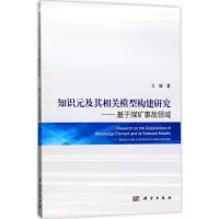 知识元及其相关模型构建研究:基于煤矿事故领域
