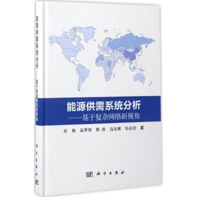 能源供需系统分析:基于复杂网络新视角