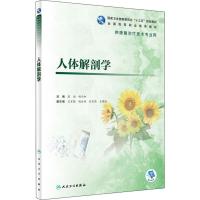 人体解剖学(高职康复/配增值)