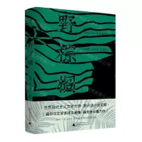 [N]野棕榈-9787559848215