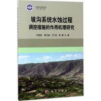 坡沟系统水蚀过程调控措施的作用机理研究